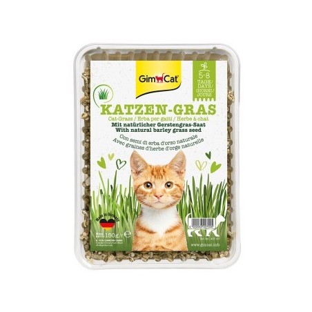GimCat Katzengras 150g