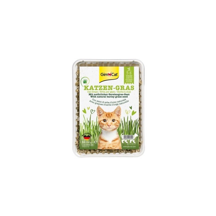 GimCat Katzengras 150g