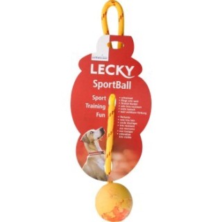 Lecky Sportball schwimmfähig L