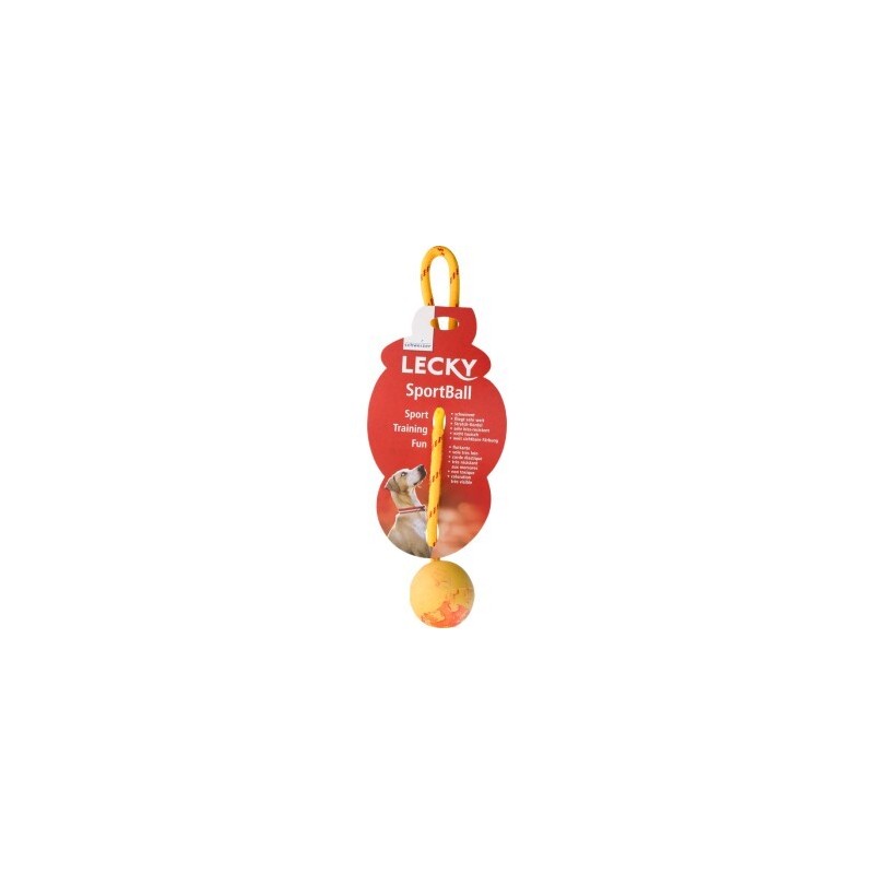 Lecky Sportball schwimmfähig L