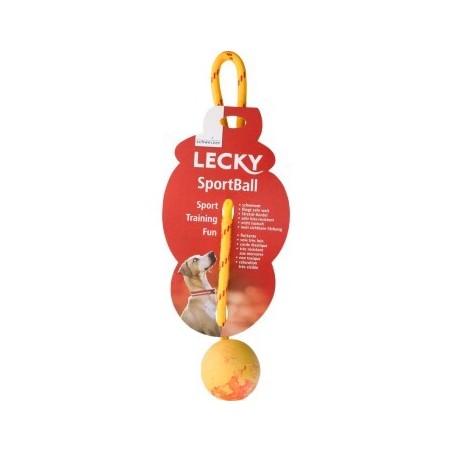 Lecky Sportball schwimmfähig L