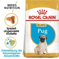 ROYAL CANIN Mops Puppy 1.5 kg