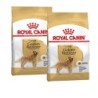 ROYAL CANIN Golden Retriever Adult 2x12 kg