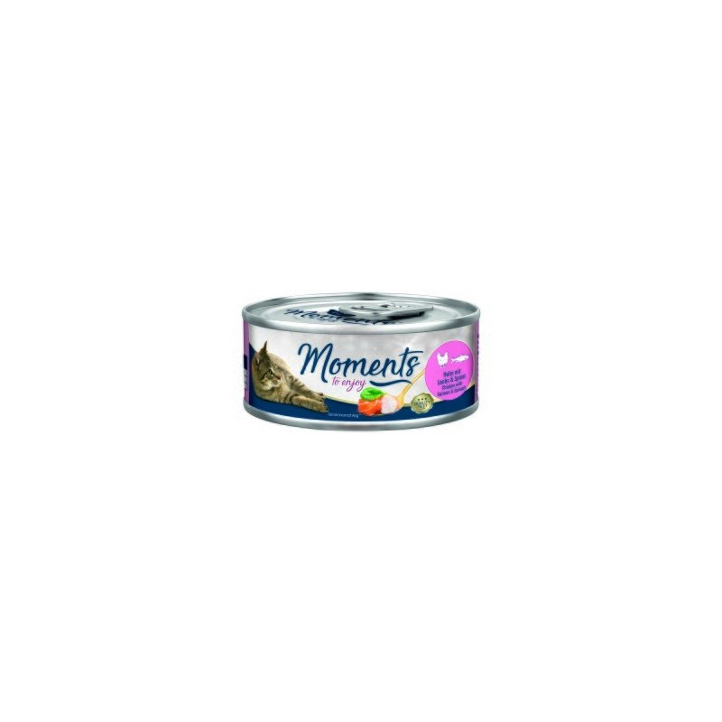 MOMENTS Adult Huhn mit Lachs und Spinat 12x70 g