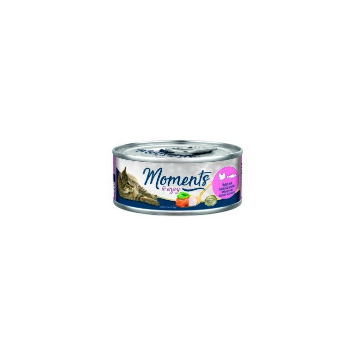 MOMENTS Adult Huhn mit Lachs und Spinat 12x70 g