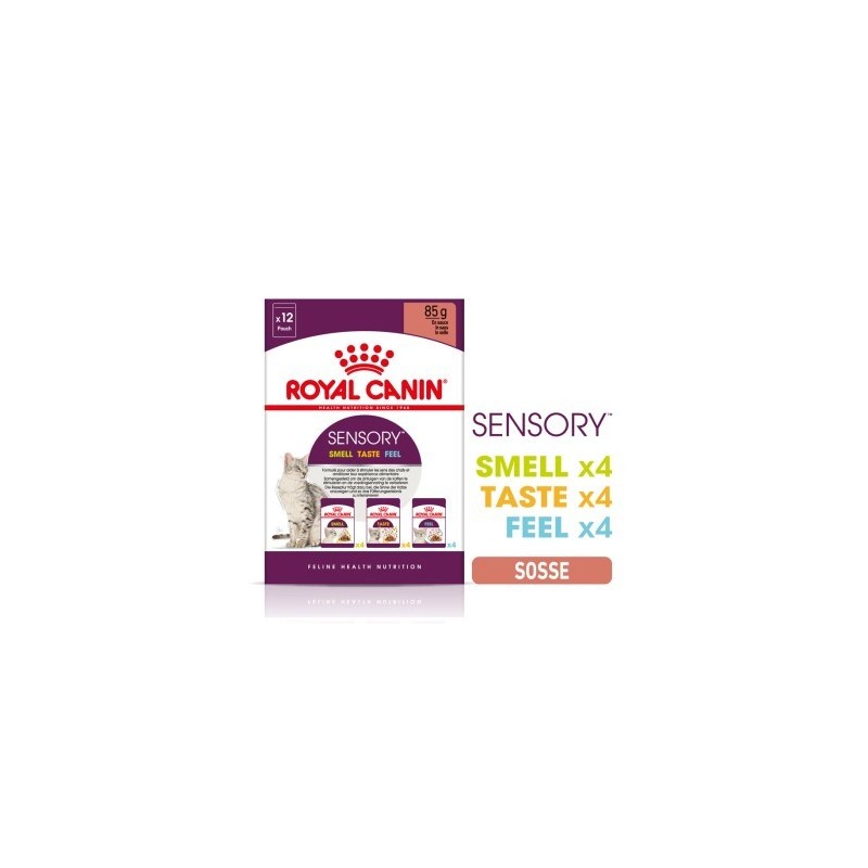 ROYAL CANIN Sensory Smell Taste Feel Multipack in Soße 12x85 g