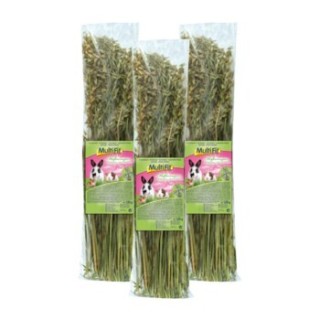 MultiFit Haferrispen 3x120 g