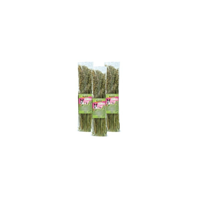 MultiFit Haferrispen 3x120 g