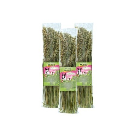 MultiFit Haferrispen 3x120 g