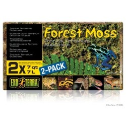 Exo Terra Moos 2er Pack