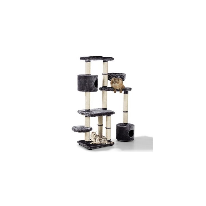 MORE Kratzbaum Rock'n'Roll