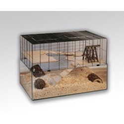 Skyline Nagarium Falco 100