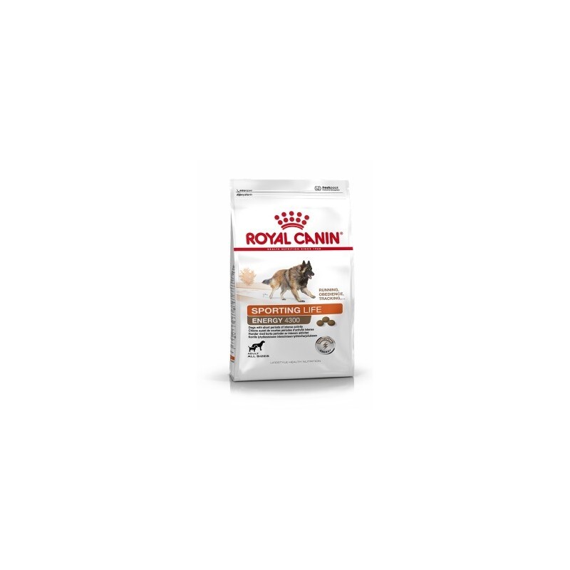 ROYAL CANIN ENERGY 4300 (TRAIL) 15 kg