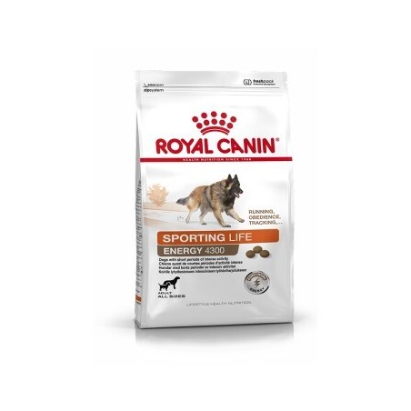ROYAL CANIN ENERGY 4300 (TRAIL) 15 kg