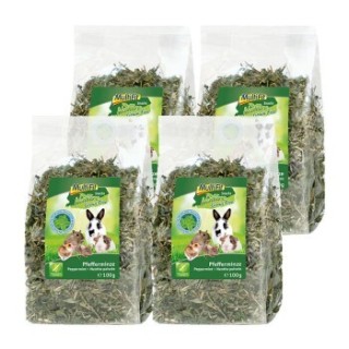 MultiFit Grain Free Kräuter 4er Set Pfefferminze 4x100 g