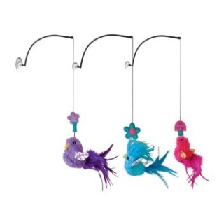 KONG Connects Window Teaser