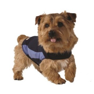 Thundershirt Hundemantel zur Angstbekämpfung XL
