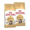 ROYAL CANIN Maine Coon Adult 2x10 kg
