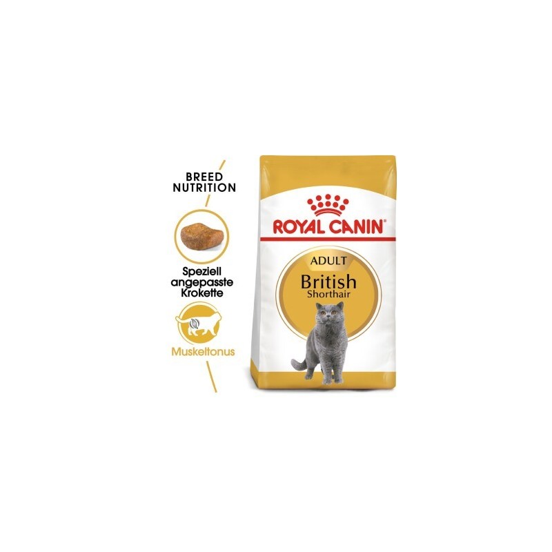 ROYAL CANIN British Shorthair Adult 4 kg