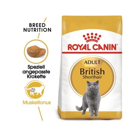 ROYAL CANIN British Shorthair Adult 4 kg