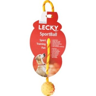 Lecky Sportball schwimmfähig S