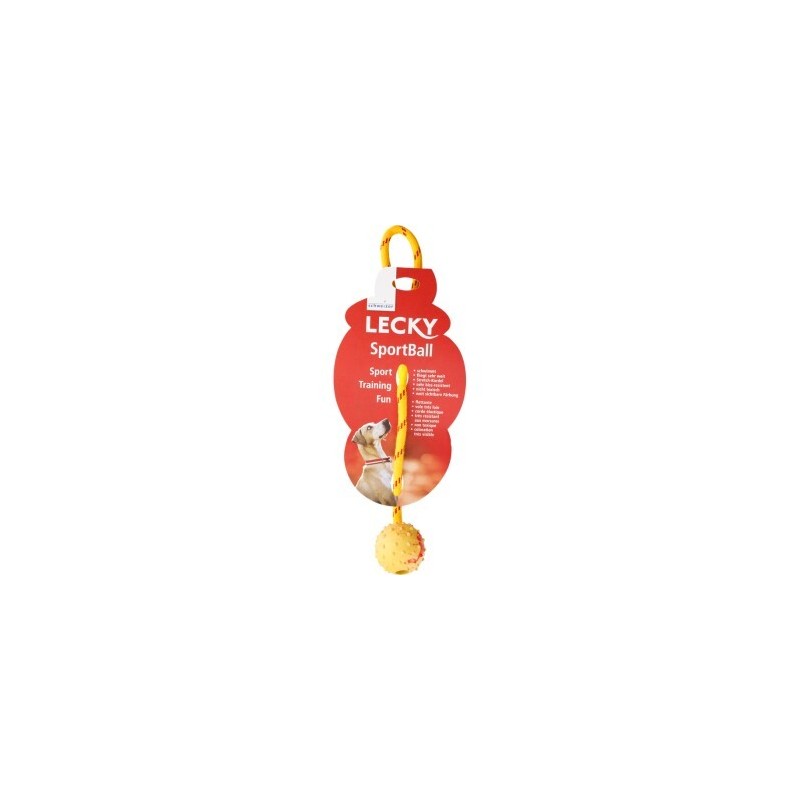 Lecky Sportball schwimmfähig S