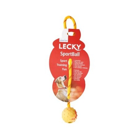Lecky Sportball schwimmfähig S