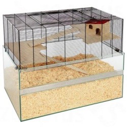 Skyline Nagarium Falco 80