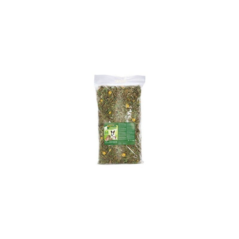 MultiFit Grain Free Löwenzahn 1kg