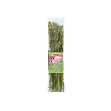 MultiFit Haferrispen 120 g