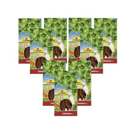 JR Farm rote Kolbenhirse Sparpaket 3x1,5kg