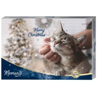 MOMENTS Adventskalender Katze
