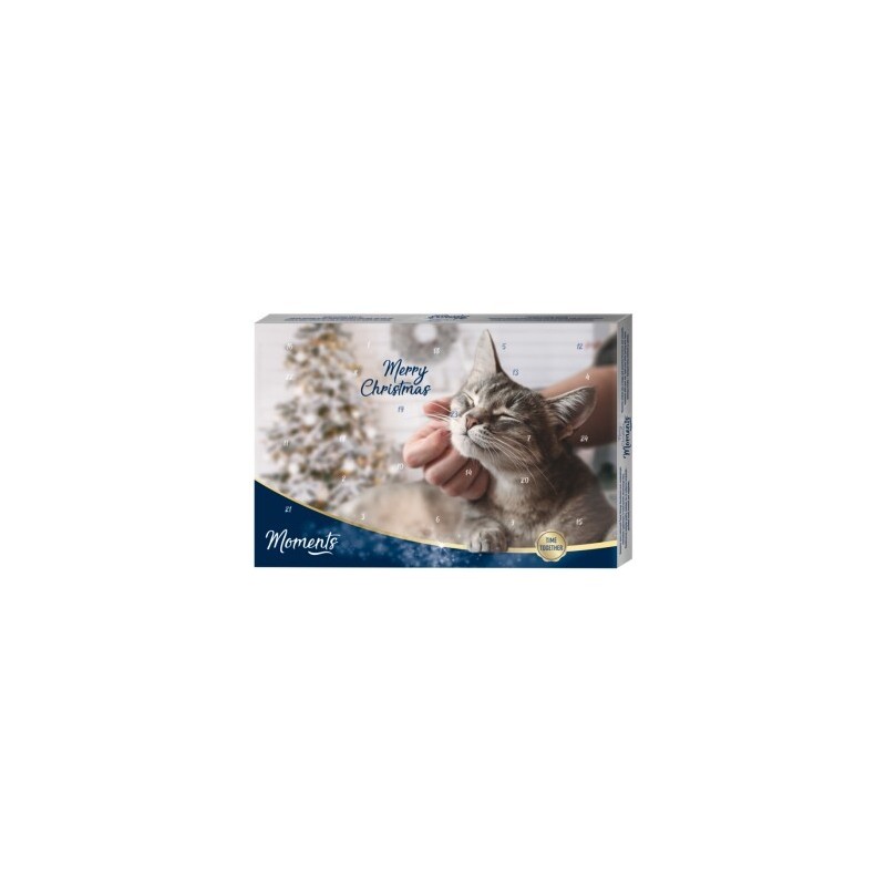 MOMENTS Adventskalender Katze