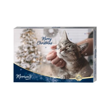 MOMENTS Adventskalender Katze