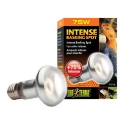 Exo Terra Intense Basking Spot 75 W