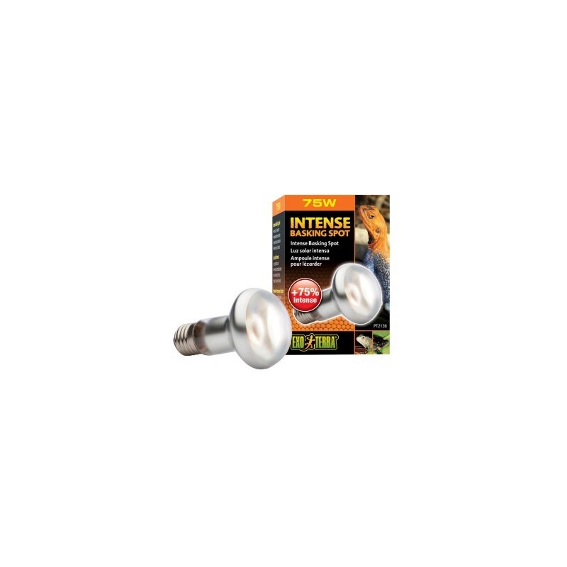 Exo Terra Intense Basking Spot 75 W