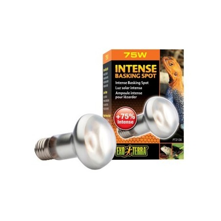 Exo Terra Intense Basking Spot 75 W