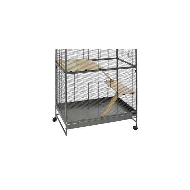 MORE Nagerkit für Voliere Darwin