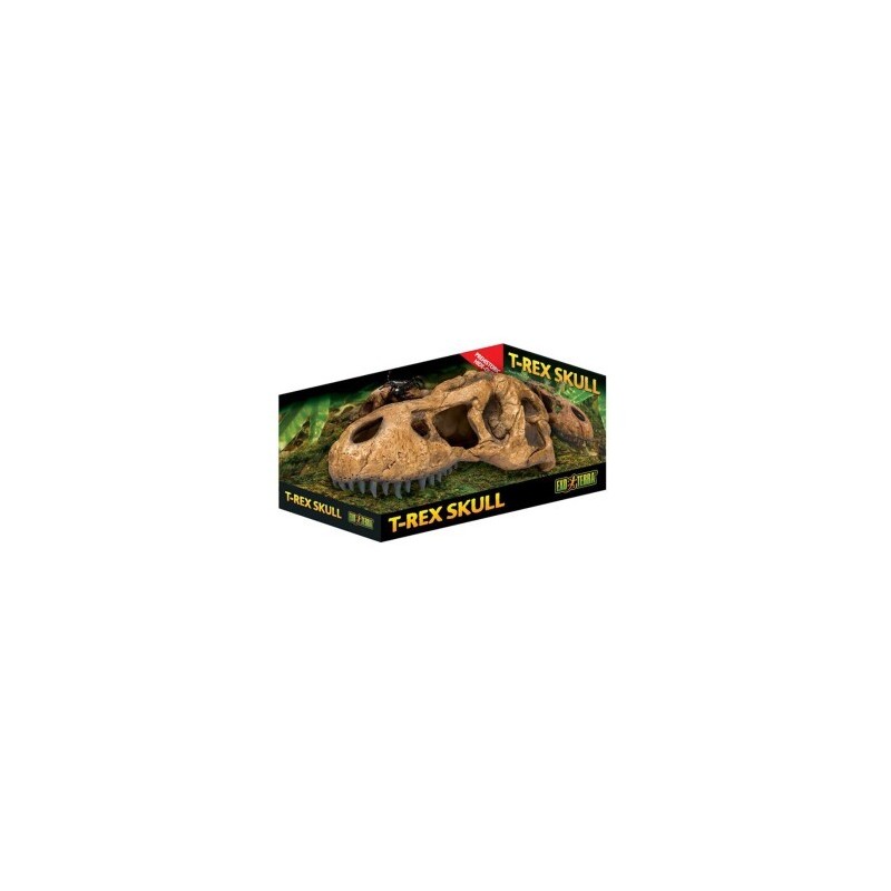 Exo Terra T-Rex Schädel