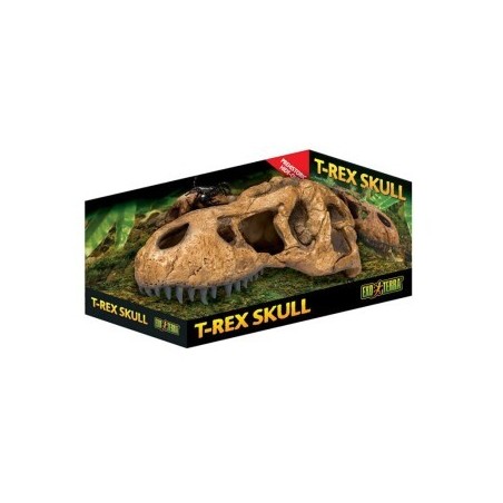Exo Terra T-Rex Schädel