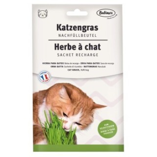 Bubimex Katzengras Nachfüllbeutel 100g