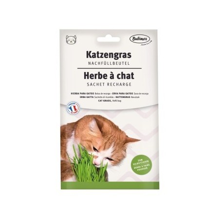 Bubimex Katzengras Nachfüllbeutel 100g