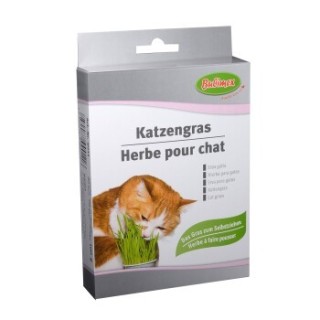 Bubimex Katzengras 100g