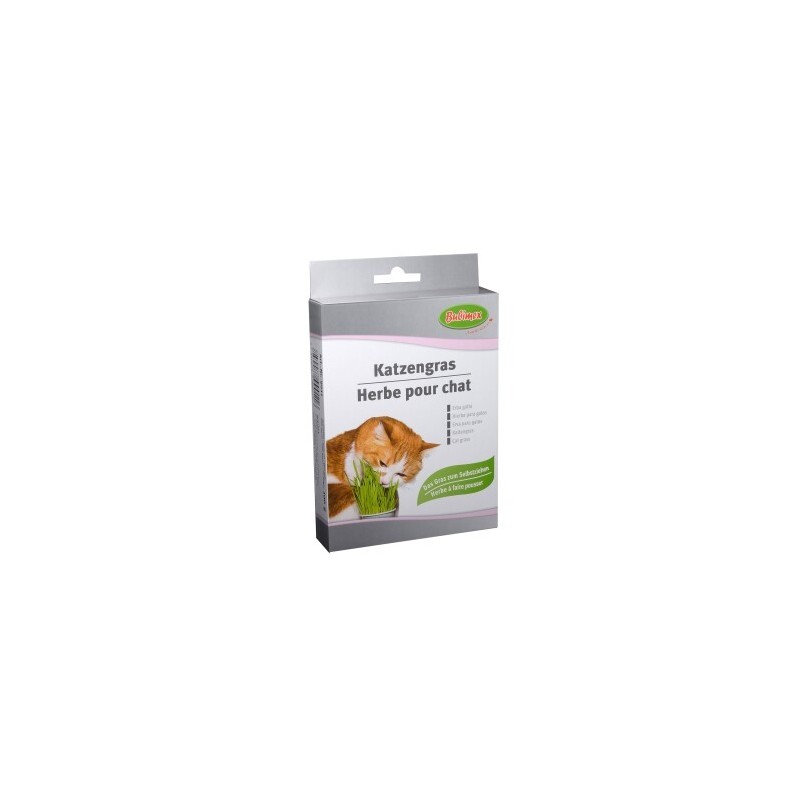 Bubimex Katzengras 100g
