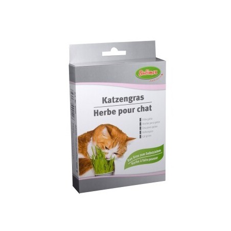 Bubimex Katzengras 100g