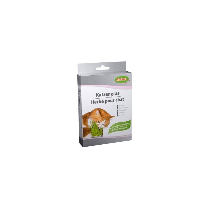 Bubimex Katzengras 100g