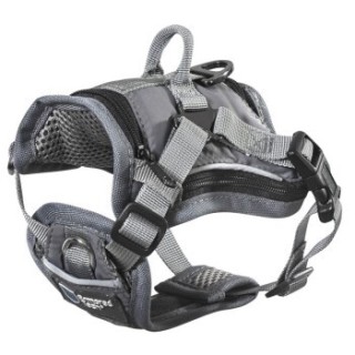 ThermoSwitch ArmoredTech Allwetter Geschirr XS