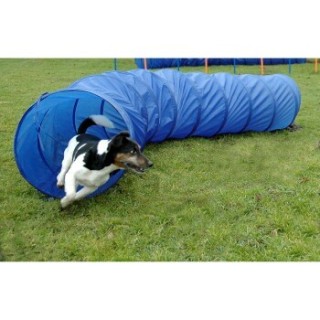 Dobar Agility Tunnel 50x300cm