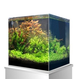 Amtra Nanoscaping Weisglassbecken 25 l