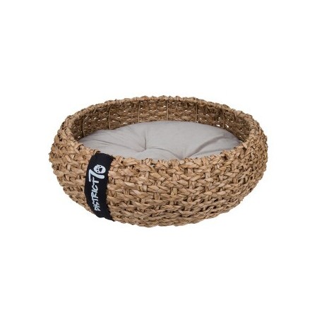 District 70 COCOON Natural M